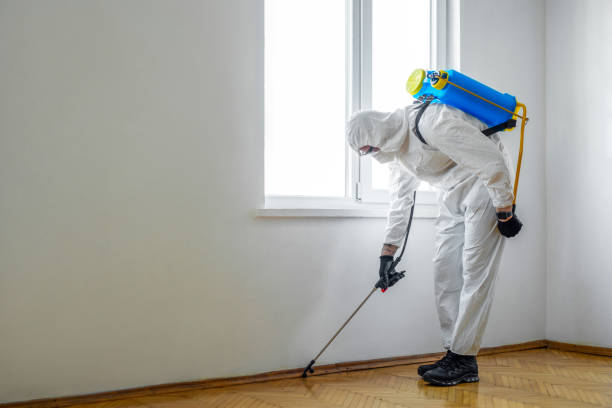 Best Affordable Pest Control Services  in Hubbard, TX